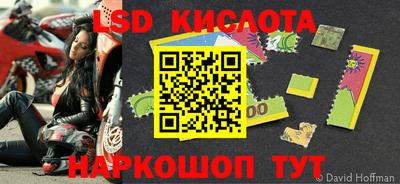 apvp Камышлов