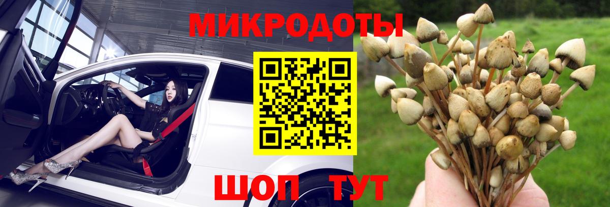 Галлюциногенные грибы Psilocybe  Вход с VPN  Кропоткин 