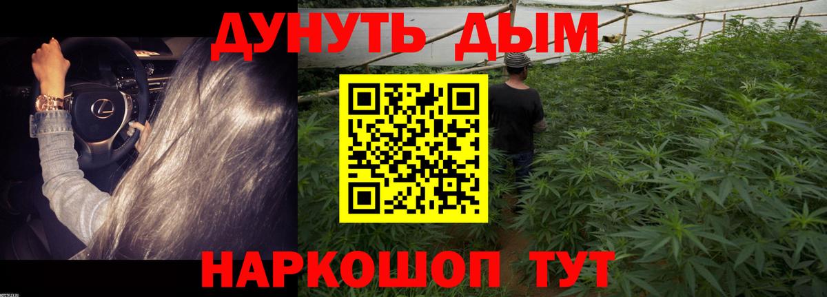 Марихуана конопля Кропоткин
